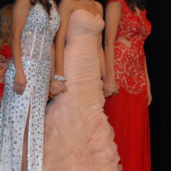 Blush wedding gown - Picture 5 of 5